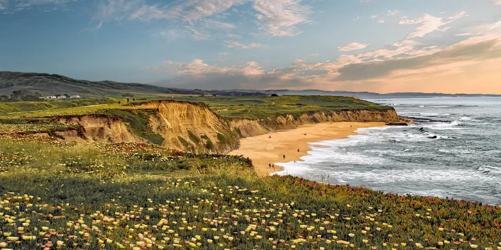 Coastline Journey: Half Moon Bay