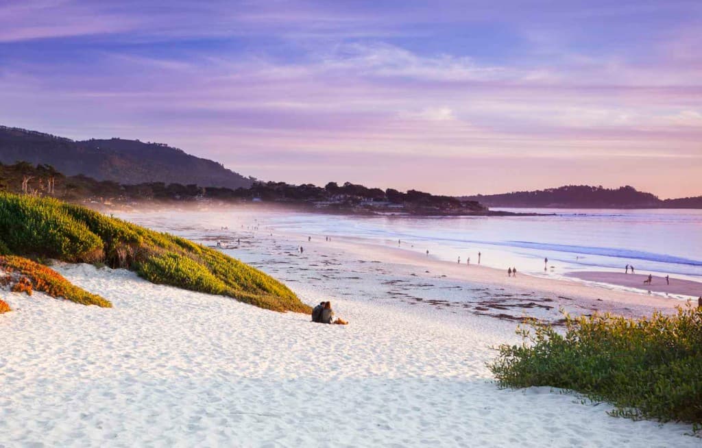 Coastline Journey: Monterey & Carmel